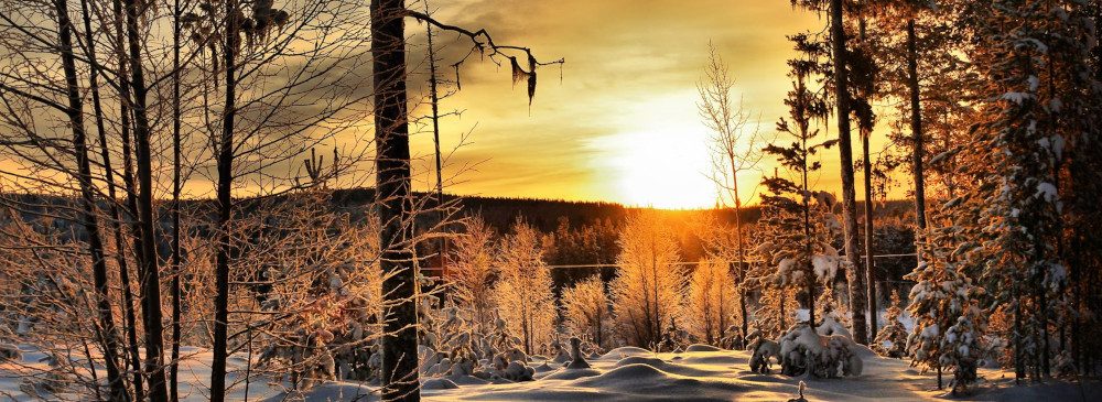 Yoga Workshop im Jahreskreis