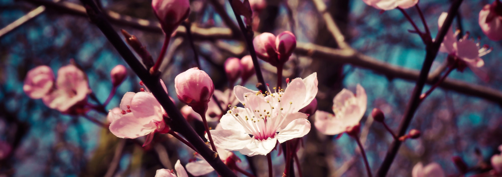 Yoga Workshop in Schlier bei Ravensburg