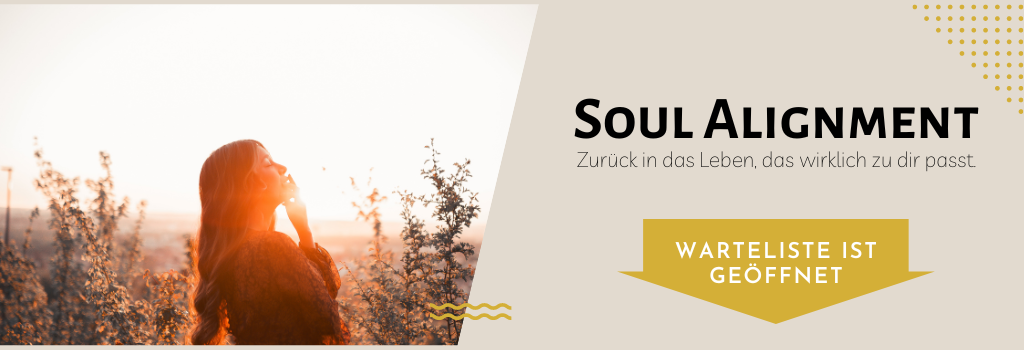 Soul Alignment Zurück in das Leben, das wirklich zu dir passt.